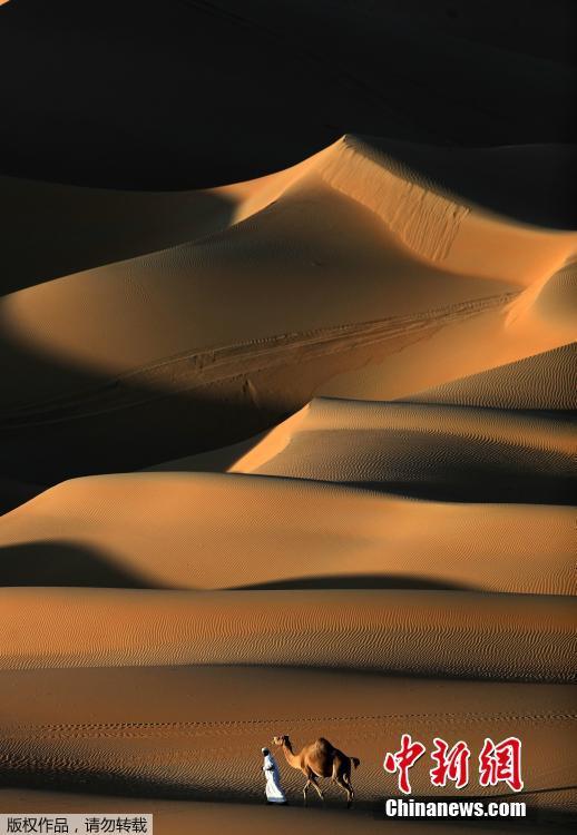 阿联酋莫瑞比沙丘节举行 牵骆驼漫步沙丘画面太美