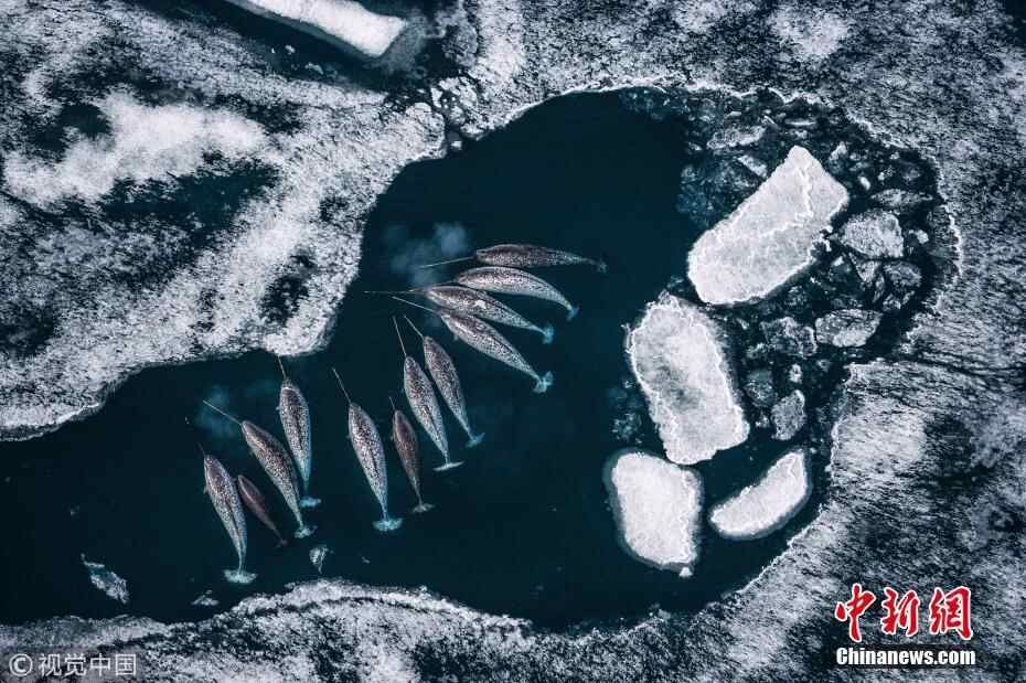 第七届哈姆丹国际摄影大赛获奖作品精选
