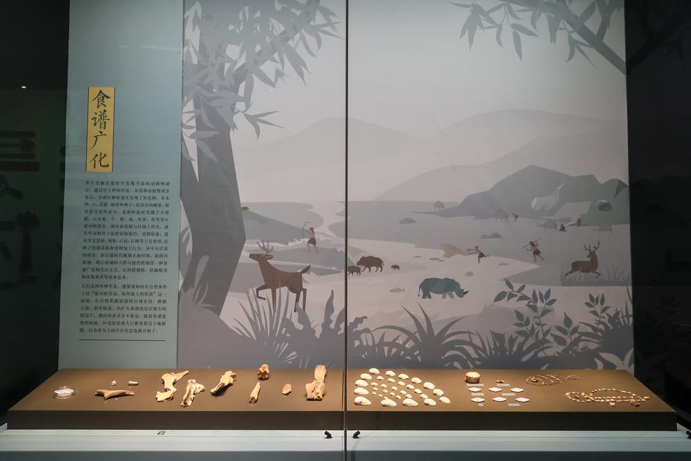 现场展示丰富的动植物遗存.jpg